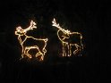 Toledo Zoo Lights 2008 021